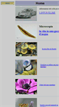 Mobile Screenshot of geppe.net
